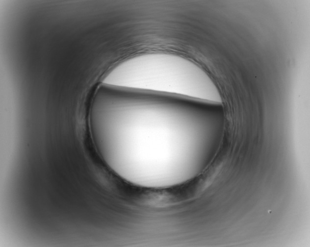 X0000099400642200805081242