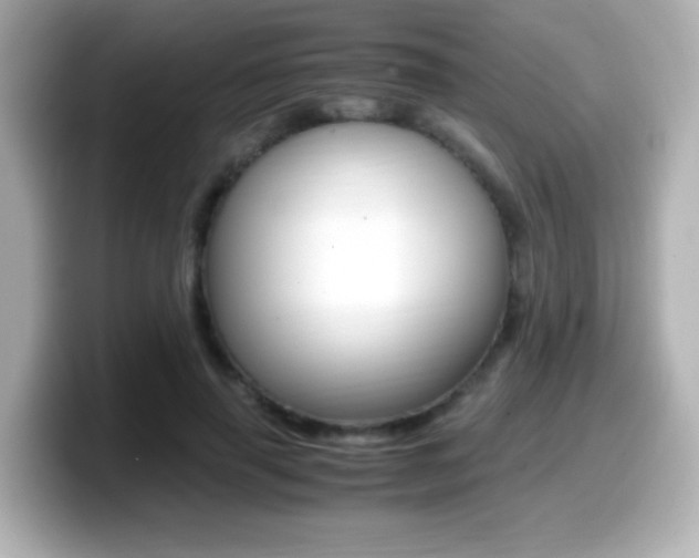 X0000099400645200805081242