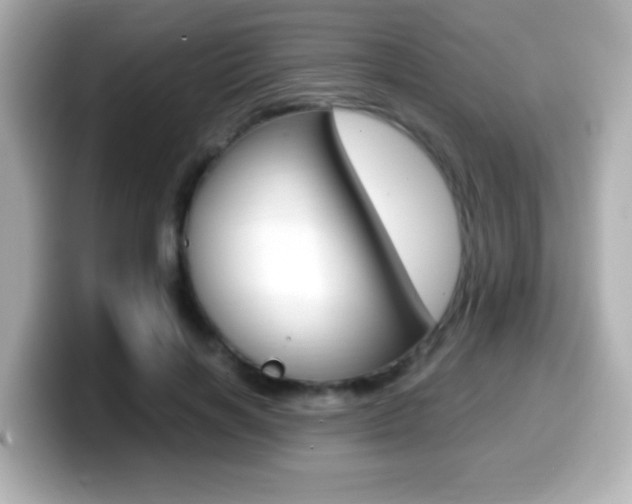 X0000099400646200805081242