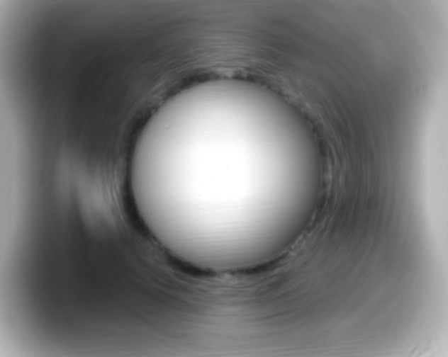 X0000099400656200805081242