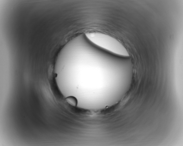X0000099400660200805081242