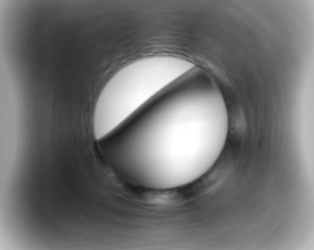 X0000099400661200805081242