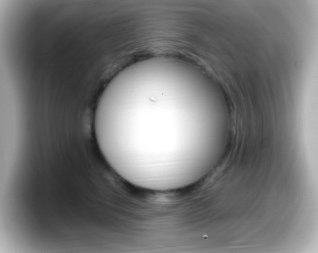 X0000099400664200805081242