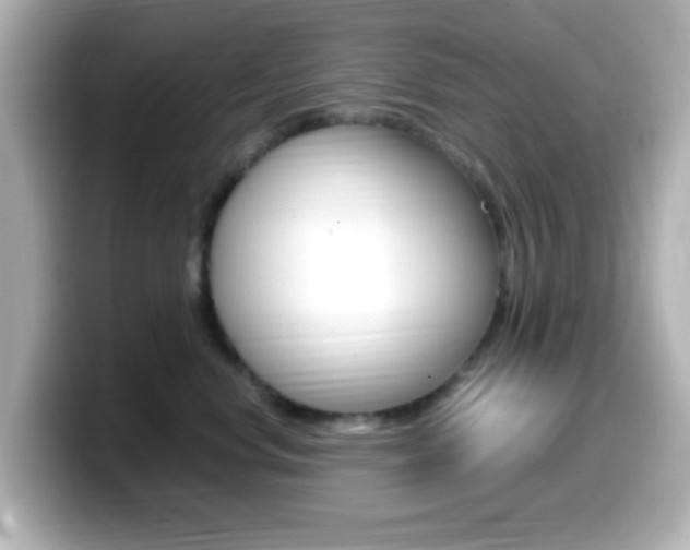 X0000099400668200805081242