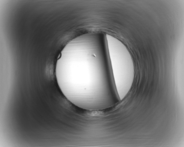 X0000099400670200805081242