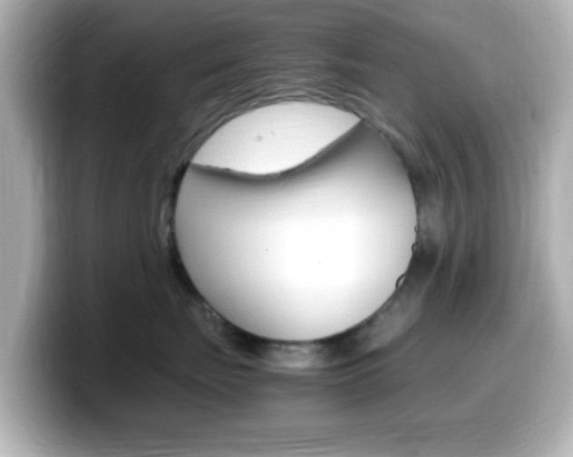 X0000099400671200805081242