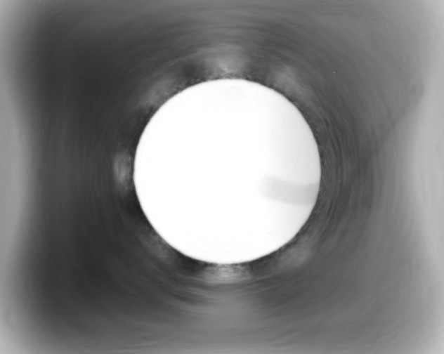 X0000099400672200805081242