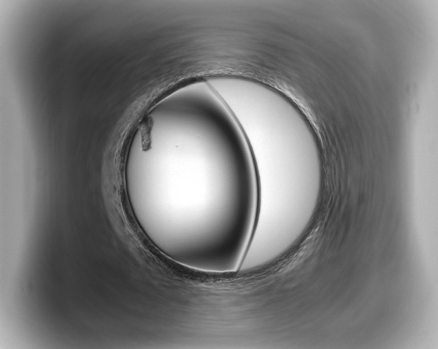 X0000099400673200805081242