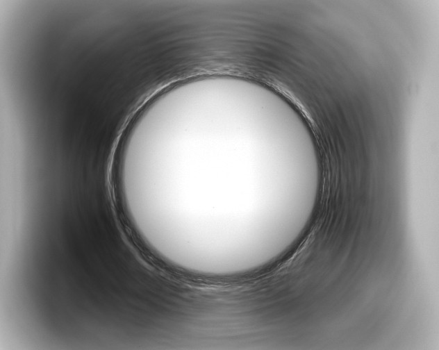 X0000099400674200805081242
