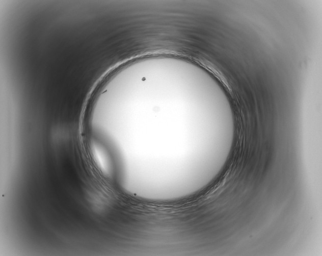 X0000099400676200805081242