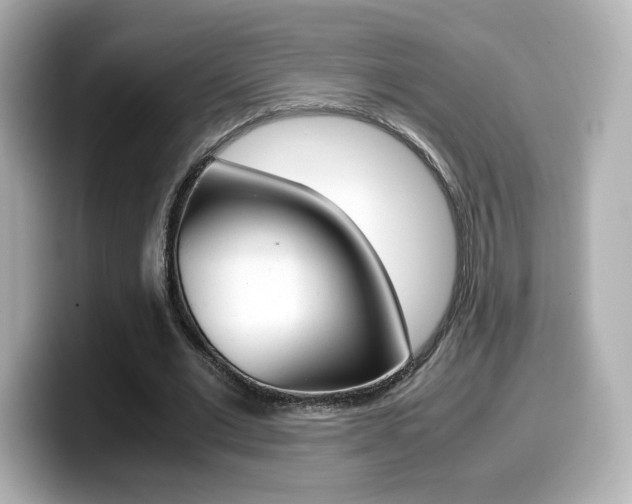 X0000099400677200805081242