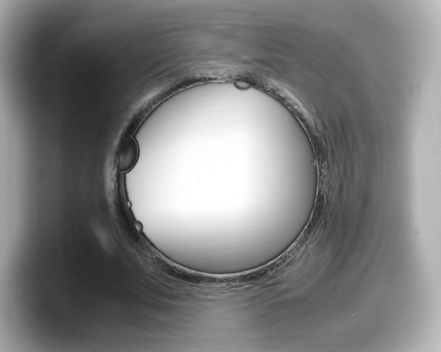 X0000099400679200805081242