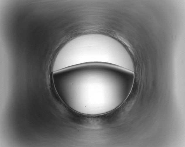 X0000099400681200805081242