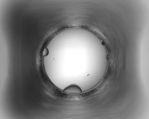 X0000099400683200805081242