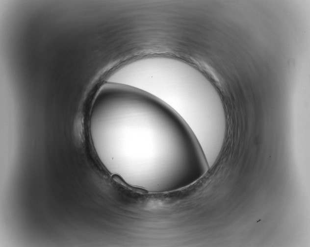 X0000099400684200805081242