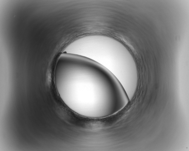 X0000099400685200805081242