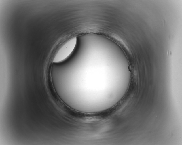 X0000099400686200805081242