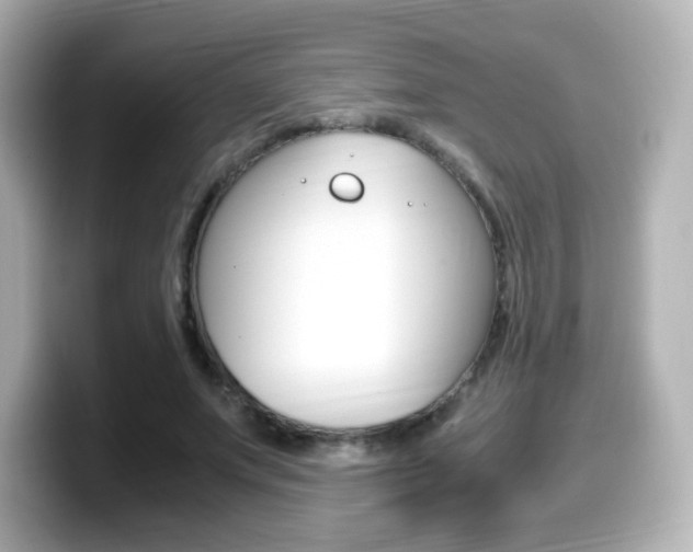 X0000099400687200805081242