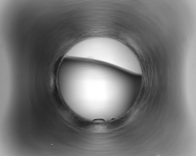X0000099400692200805081242