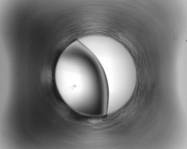 X0000099400693200805081242