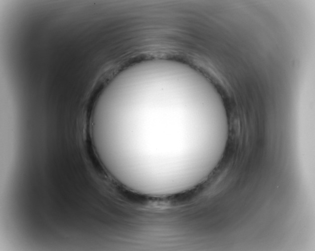 X0000099400694200805081241
