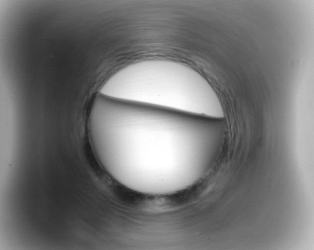 X0000099400695200805081241