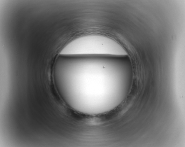 X0000099400696200805081241