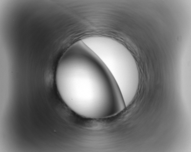 X0000099400697200805081241