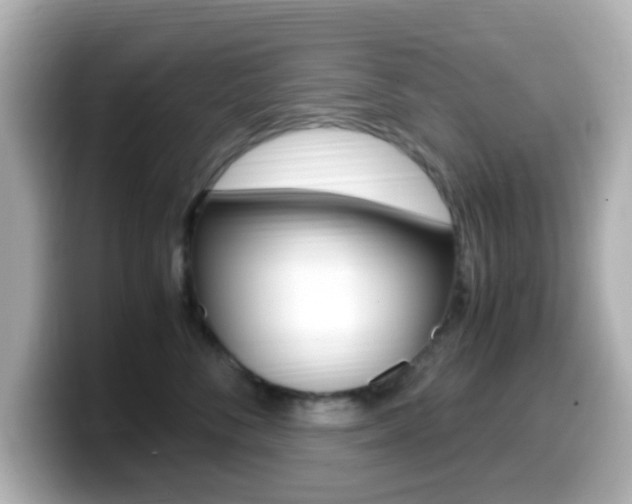 X0000099400716200805081241