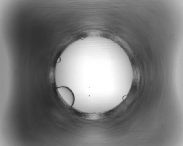 X0000099400717200805081241