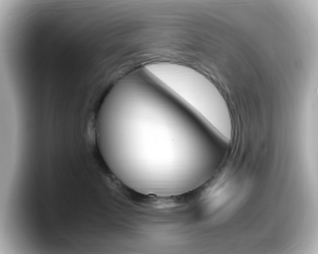 X0000099400719200805081241