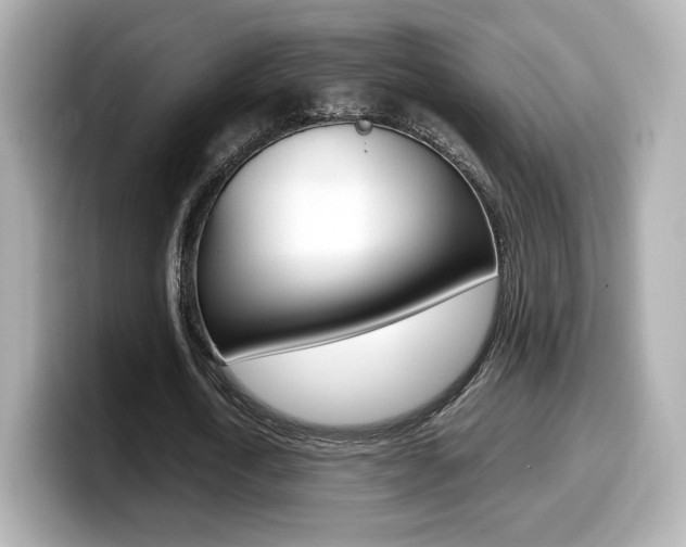 X0000099400722200805081241