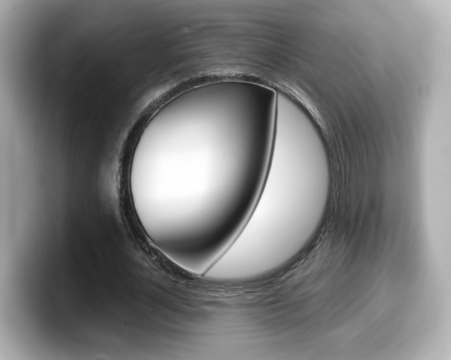 X0000099400724200805081241