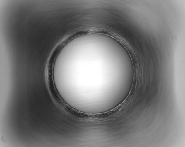 X0000099400730200805081241