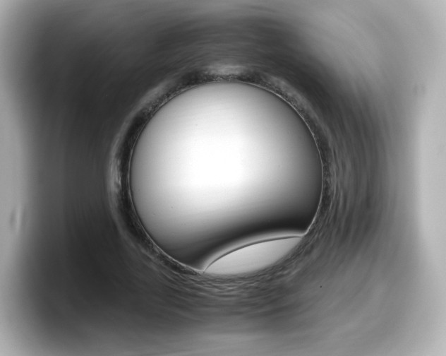 X0000099400731200805081241