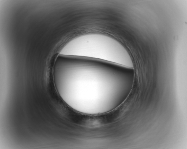 X0000099400735200805081241