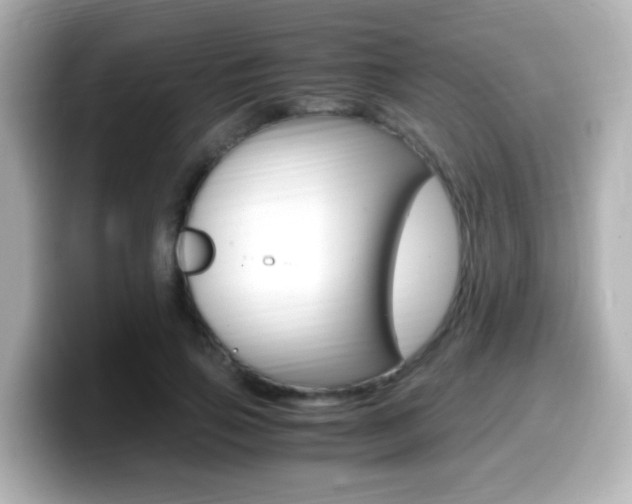 X0000099400741200805081241