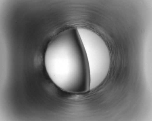 X0000099400748200805081241