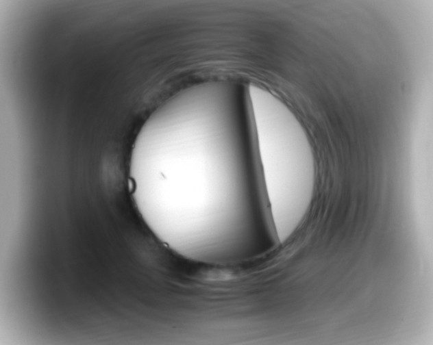 X0000099400751200805081241