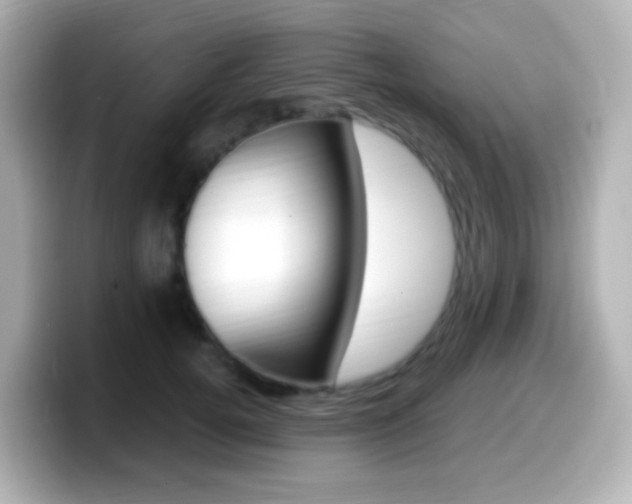 X0000099400752200805081241