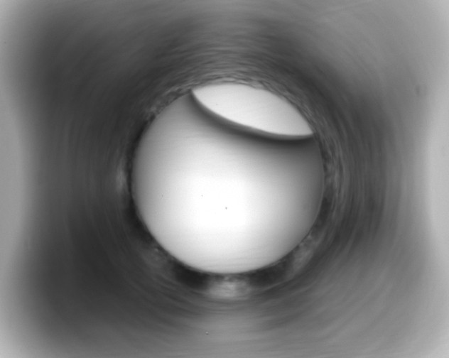 X0000099400754200805081241