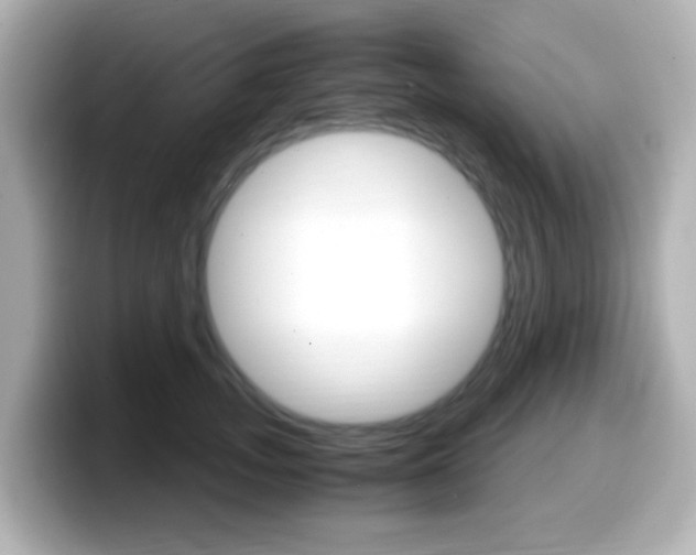 X0000099400755200805081241