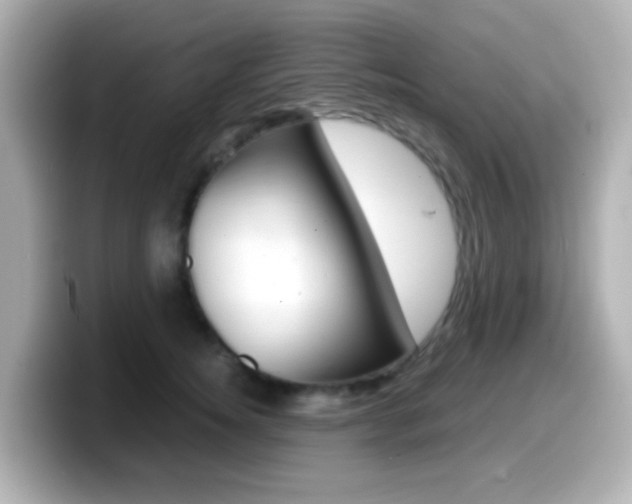 X0000099400756200805081241