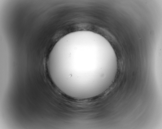 X0000099400757200805081241