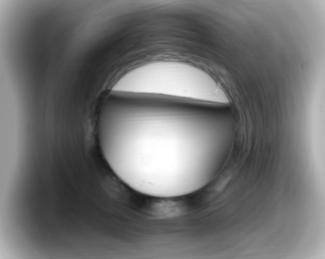 X0000099400759200805081241
