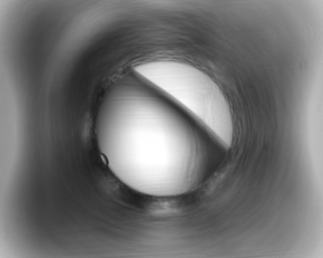 X0000099400760200805081241