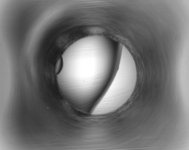 X0000099400762200805081241