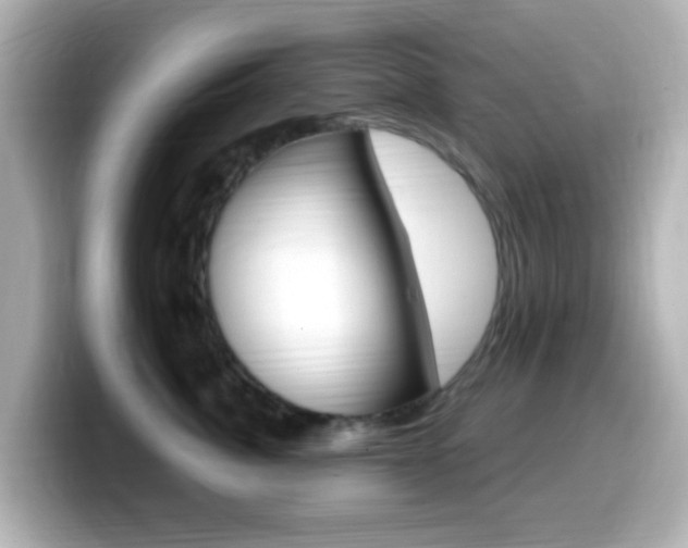 X0000099400764200805081241