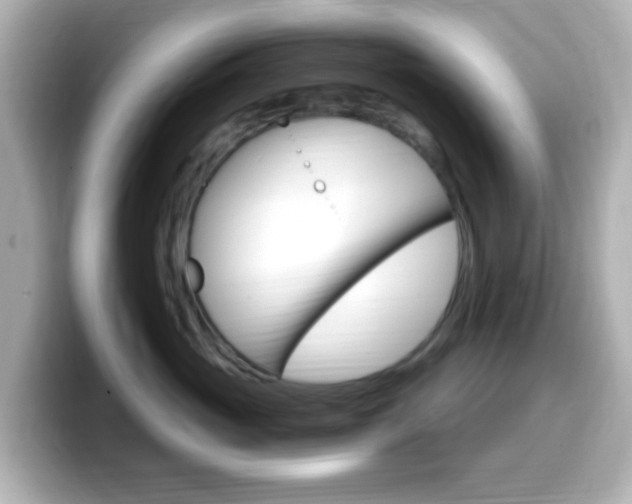 X0000099400765200805081241