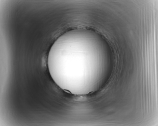 X0000099400768200805081241